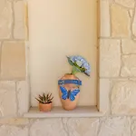 Helena Coral Peyia
