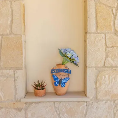 Helena Coral פאהיה